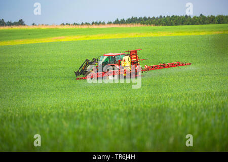 bread wheat, cultivated wheat (Triticum aestivum), tractor applying pesticides on a wheat field, Germany, Bavaria Stock Photo