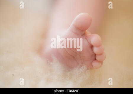 baby foot Stock Photo