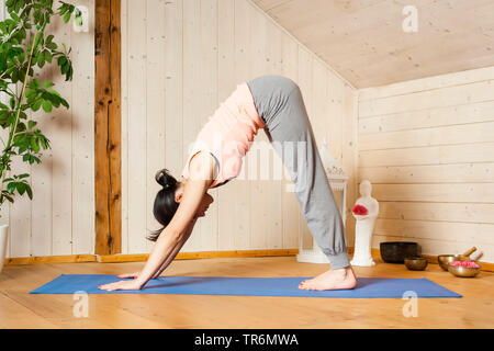 woman practising yoga on a yoga mat in the flat, down dog, Germany Stock Photo