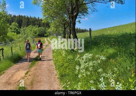 mother and daughter hiking on a field path, Germany, North Rhine-Westphalia, Plettenberg, Gruener Tal Stock Photo