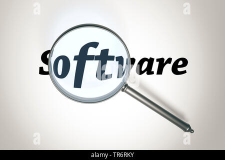 magnifying glass with the word Software Stock Photo