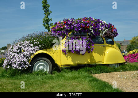 garden petunia (Petunia x hybrida, Petunia-Hybride), car overgrown with blooming petunias, France, Brittany Stock Photo
