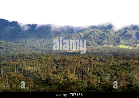 San Isidro West slope, Ecuador, Andes Stock Photo