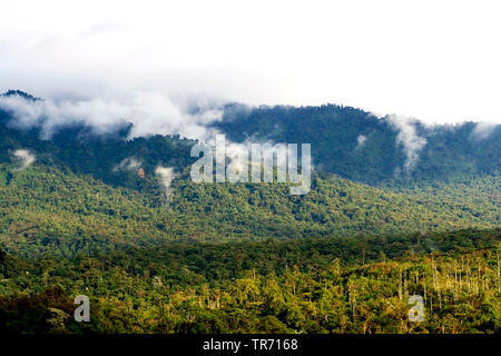 San Isidro West slope, Ecuador, Andes Stock Photo