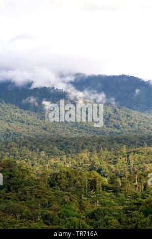 San Isidro West slope, Ecuador, Andes Stock Photo