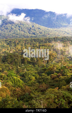 San Isidro West slope, Ecuador, Andes Stock Photo