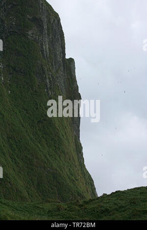 Tristan Da Cunha, Inaccessible Island. On the National Geographic ...