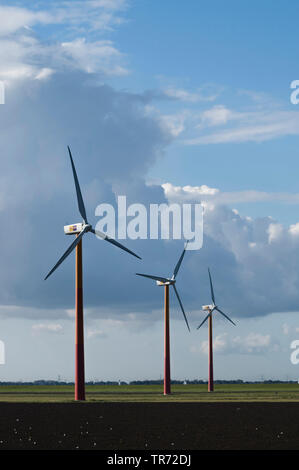 wind turbines standing in polder under dark clouded sky, Netherlands, Flevoland, Flevopolder Stock Photo