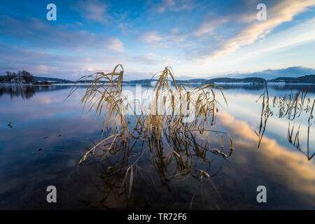 storage lake Talsperre Poehl in winter, Germany, Saxony, Vogtland Stock Photo