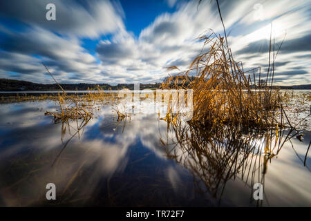 storage lake Talsperre Poehl in winter, Germany, Saxony, Vogtland Stock Photo