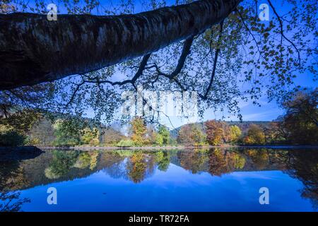 autumn landscape mirroring on water surface, Germany, Thueringen, Greiz Stock Photo