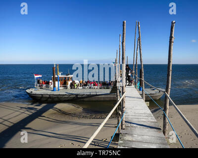 people on a ferryboat at landing stage, Netherlands, Frisia, Vlieland Stock Photo