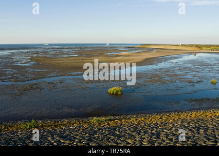 Waddensea at Den Oever with dike in foreground, Netherlands, Northern Netherlands, Den Oever Stock Photo