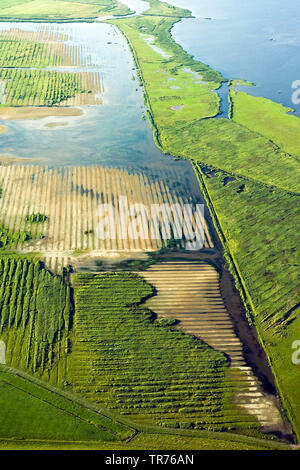 coastal landscape at the North Sea, aerial photo, Netherlands Stock Photo