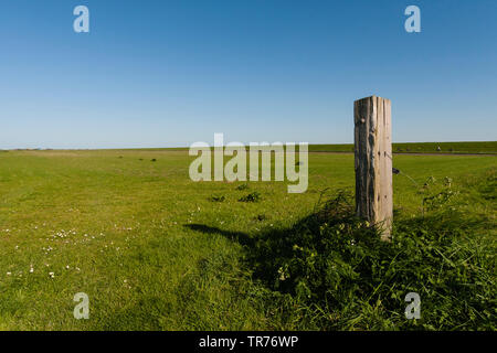 Extensive view at meadows with wooden pole in foreground, Netherlands, Schiermonnikoog Stock Photo