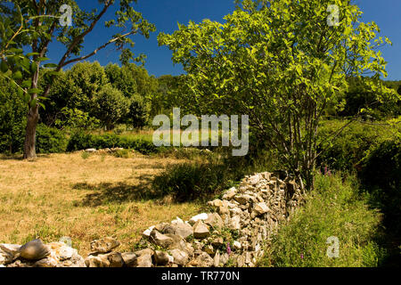 Stone wall in Cevennen, France, CÚvennes Stock Photo