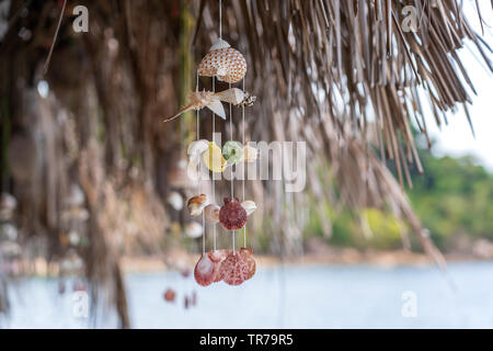 Seashells hanging on the ropes on a tropical beach, Thailand, close up Stock Photo