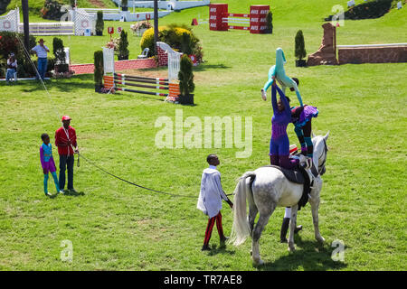 Johannesburg, South Africa - October 08 2011: Equestrian Show Jumping and Horse Riding display Stock Photo