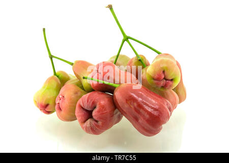 Rose apples isolated on white background Stock Photo
