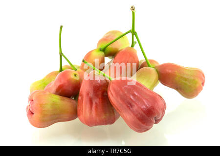 Rose apples isolated on white background Stock Photo
