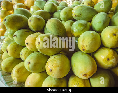 Heap of fresh ripe Dashehari mangoes in basket at fruits shop. Stock Photo