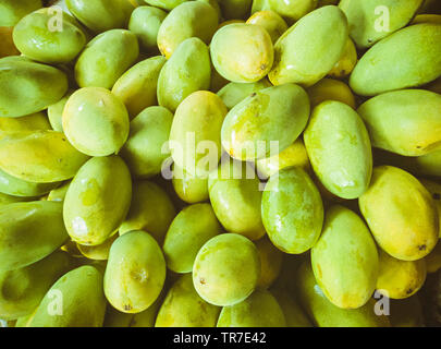 Heap of fresh ripe Dashehari mangoes in basket at fruits shop. Stock Photo