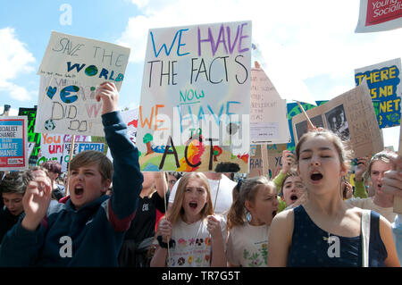 School Climate Strike, London, England, UK. Stock Photo