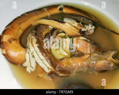 eel soup bowl food of northeast thailand style local Stock Photo