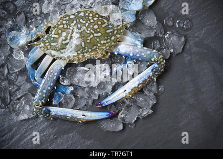 Seafood crab on ice / Fresh raw Blue Swimming Crab on dark background in the restaurant Stock Photo