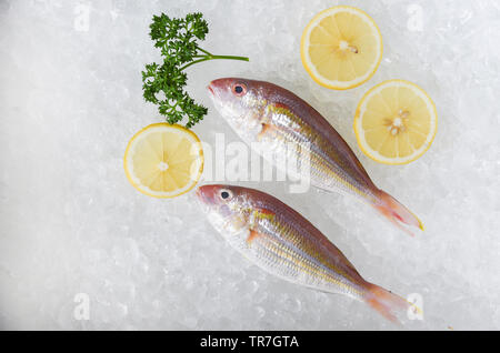Fresh raw fish and lemon on ice background in the seafood supermarket Stock Photo