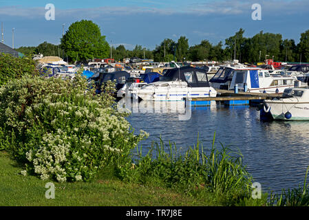 Leisure boats moored in Goole Marina, East Yorkshire, England UK Stock Photo