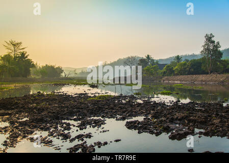 Landscape swamp with mud sunrise in the morning tree and mountain background / Lake in countryside asia Stock Photo