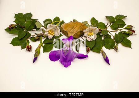 A beautiful piece of travertine with an iris flower on the sides Alstroemeria flowers with red rosebuds with leaves on the branches and iris buds on a Stock Photo