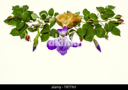 Garlands of twigs with buds of red roses and leaves with iris buds on the sides, in the center beautiful travertine stone with iris flower on a white Stock Photo