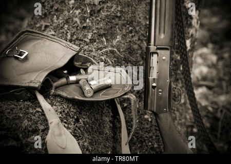 A 16 gauge Browning Automatic-5 shotgun. The gun, which was also made in smaller 20 gauge and larger 12 gauge, was the invention of famous American fi Stock Photo