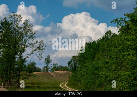 Dramatic white clouds on a blue sky over a beautiful landscape in a nature reserve in Brandenburg Stock Photo