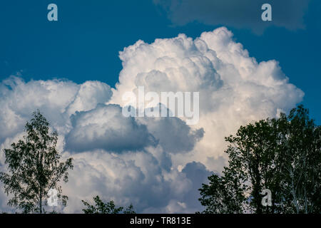 Dramatic white clouds on a blue sky over a beautiful landscape in a nature reserve in Brandenburg Stock Photo