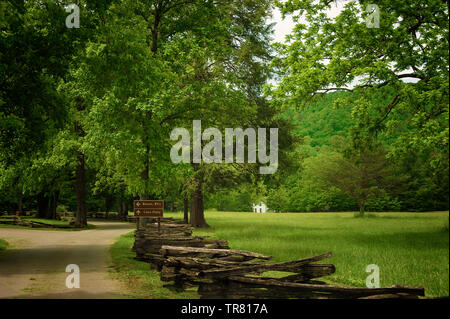 split rail fence, fence, road,tree,grass,house,no people,outdoors,sunlight,day,Split rail wooden fence lines the road to Gregg-Cable house in Cades Co Stock Photo