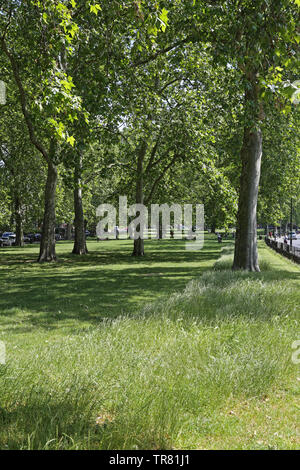 Goose Green in East Dulwich, London, UK. A popular, enclosed park between Grove Vale, East Dulwich Road and Adys Road SE15 Stock Photo