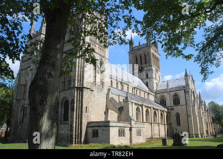 Selby Abbey,medieval abbey church  North Yorkshire, England UK Stock Photo