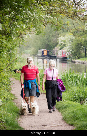 Elderly couple walking their dog on the Ashby Canal, England, Uk Stock Photo