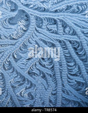 Frost pattens (fern frost) on a window. Stock Photo