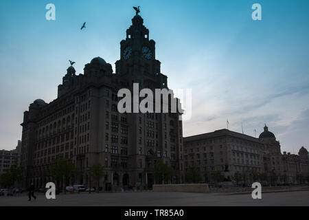 Royal Liver Building, Liverpool. Stock Photo