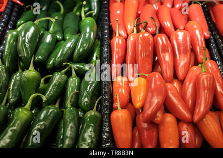 Green And Red Jalapeno Peppers - Capsicum annuum Stock Photo