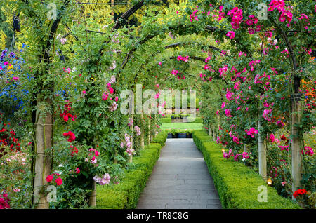 Rose arbour, Butchart Gardens, Brentwood Bay, near Victoria Stock Photo ...