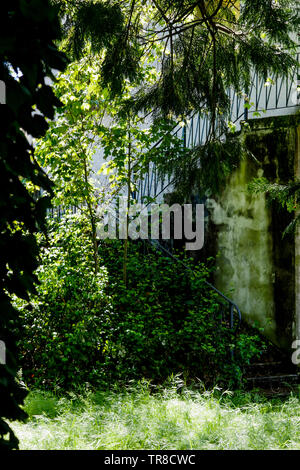 Springtime view of an Abandonned garden surrounding a dead man house, Lyon, France