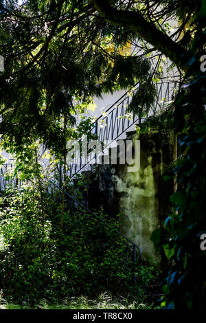 Springtime view of an Abandonned garden surrounding a dead man house, Lyon, France