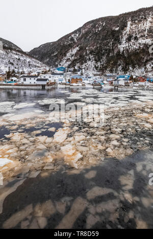 Waterfront with floating pancake ice at the outport of Grey River, which is snuggled along a fjord, viewed from the ferry Marine Voyager, Newfoundland Stock Photo