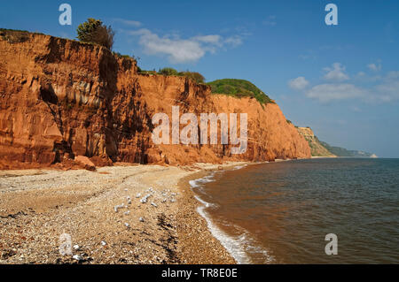 UK,Devon,Sidmouth Seafront and Coastline looking towards Salcombe Hill Stock Photo