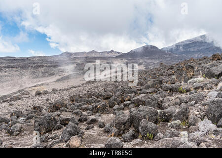 Hundreds of igneous volcanic rocks scattered across the alpine desert zone landscape of Mount Kilimanjaro, Tanzania, near the Machame hiking route.